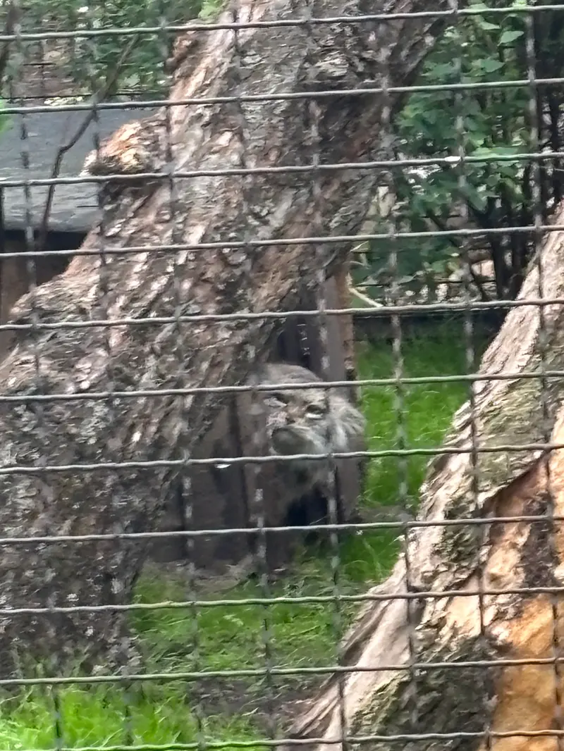 ワルシャワ動物園のジェシーの写真