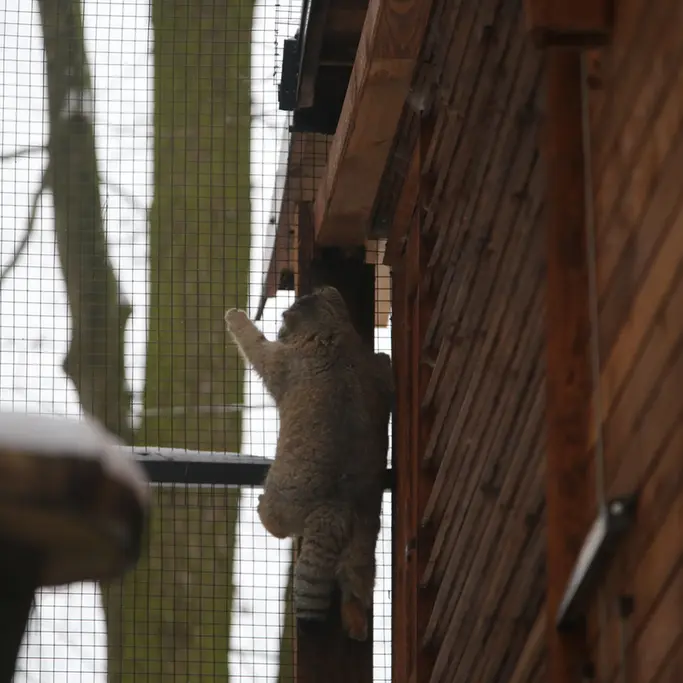 グダニスク動物園のウラの写真