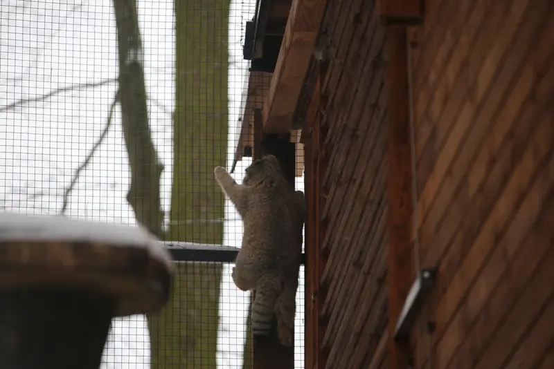 グダニスク動物園のウラの写真