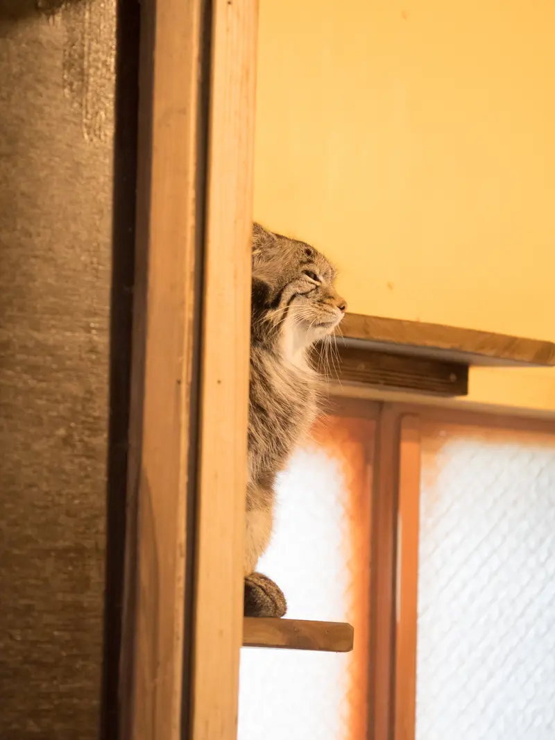 埼玉県こども動物自然公園のオトの写真