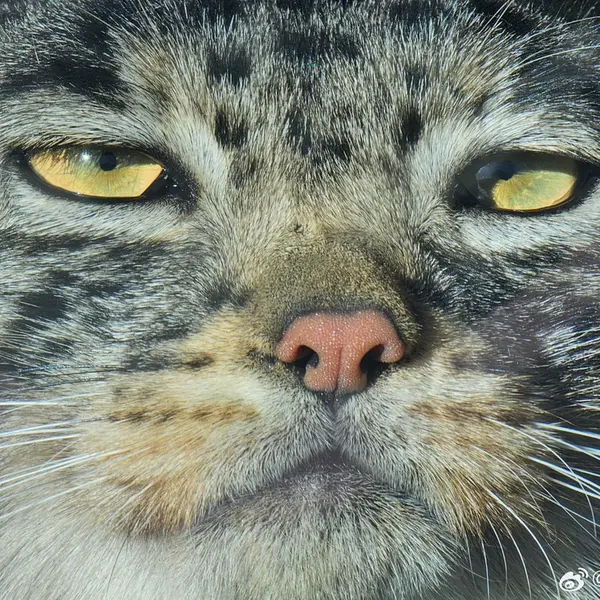 曲水動物園のUUの写真