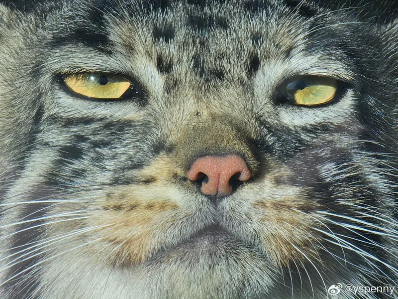 曲水動物園のUUの写真