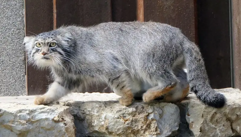 タリン動物園のアイオロスの写真
