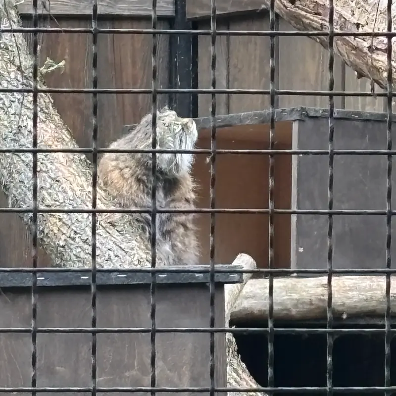 ワルシャワ動物園のジェシーの写真