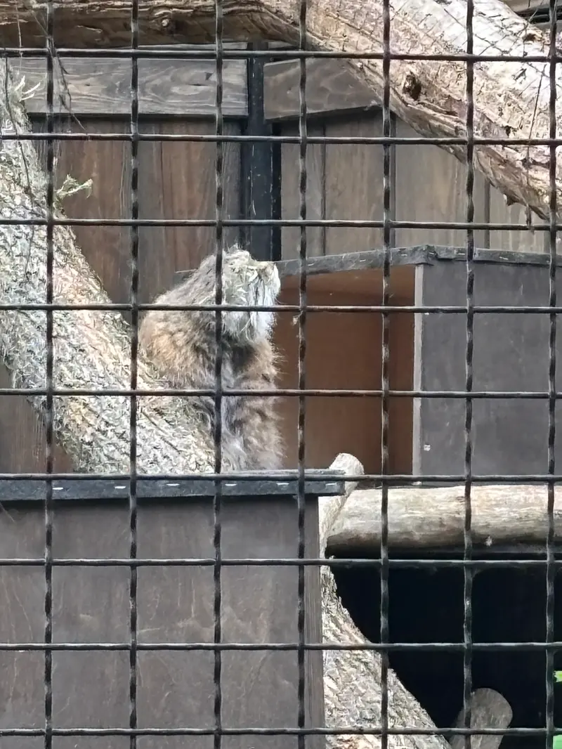 ワルシャワ動物園のジェシーの写真