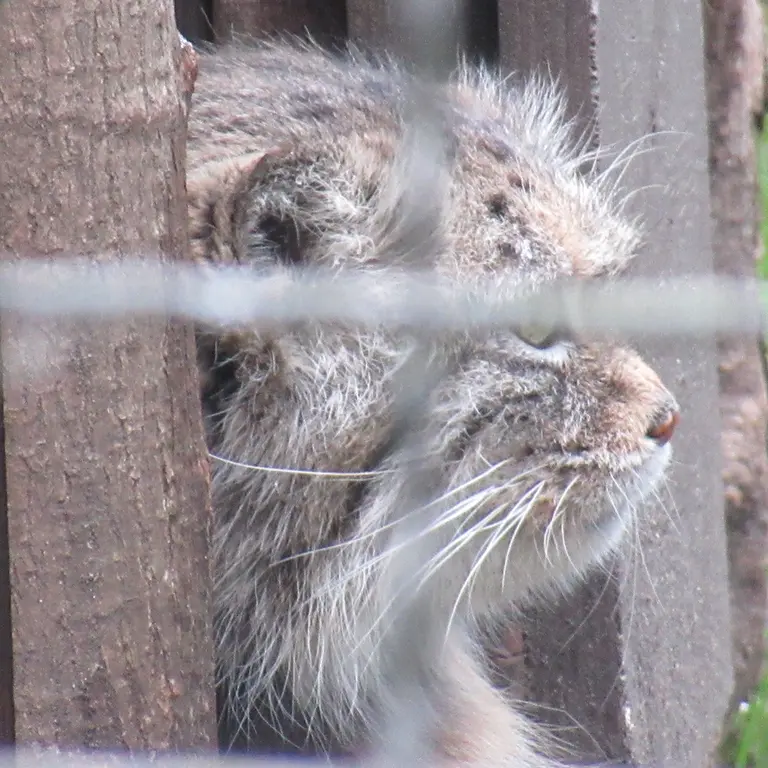 ワルシャワ動物園のジェシーの写真