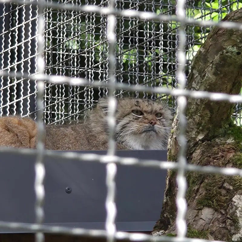 リトアニア動物園のメリッサの写真