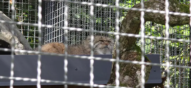 リトアニア動物園のメリッサの写真