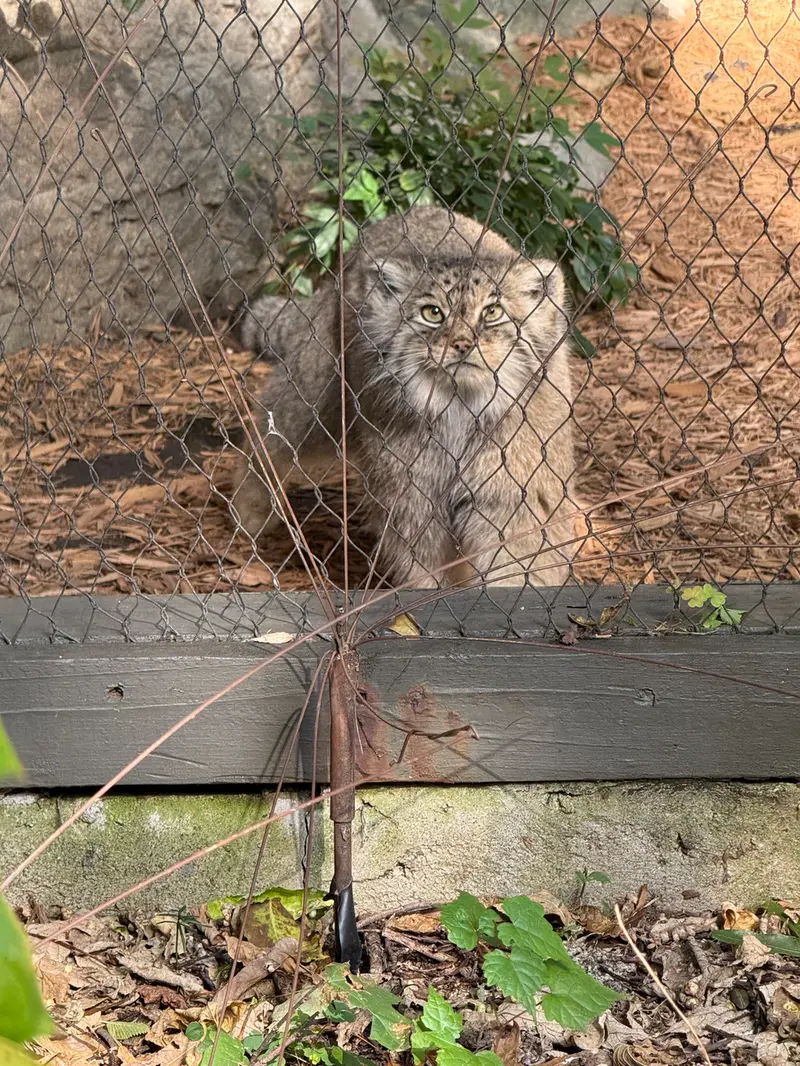 プロスペクト・パーク動物園のサルナイの写真