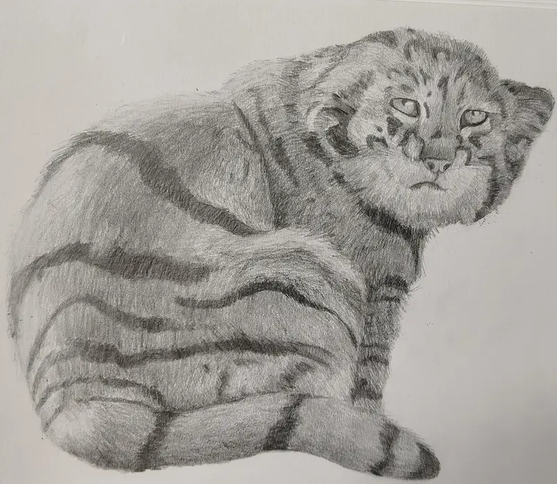 サイミの絵