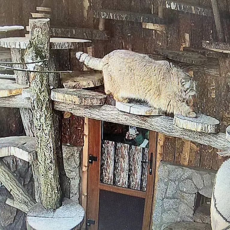 レニングラード動物園のペペの写真