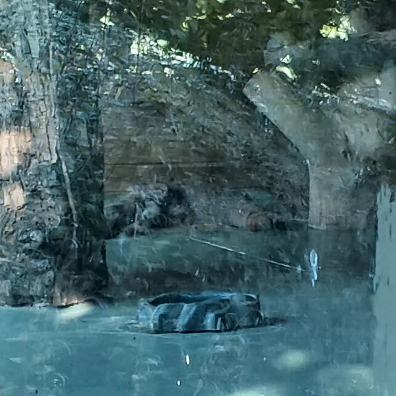 エレバン動物園のナレの写真