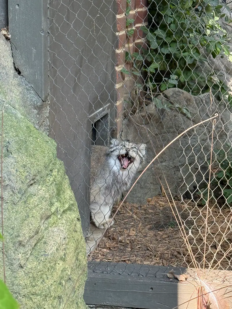 プロスペクト・パーク動物園のバトゥの写真