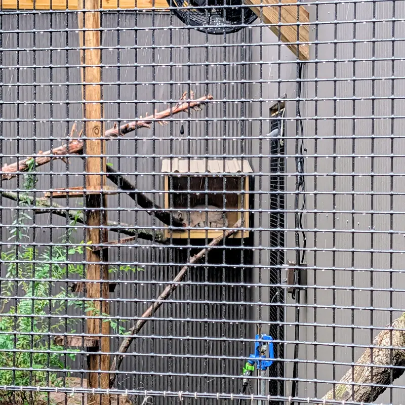 エルムウッド・パーク動物園のカスパーの写真