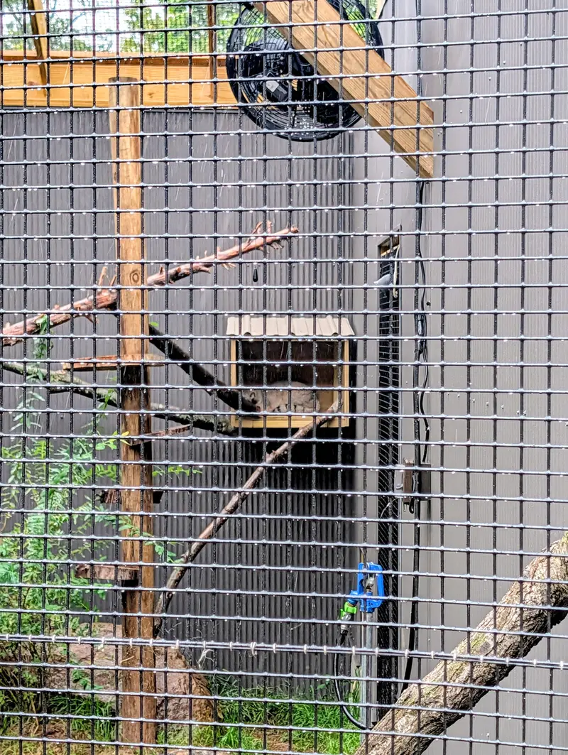 エルムウッド・パーク動物園のカスパーの写真