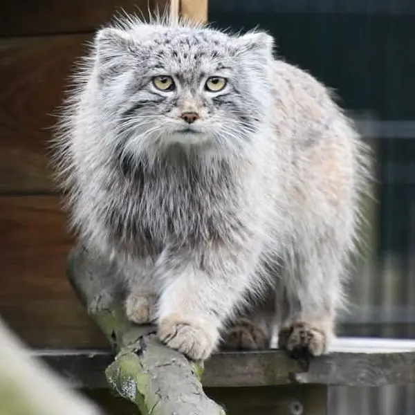 バイオ・トピア・ダンケルクのサランの写真