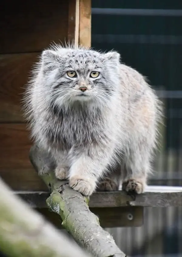 バイオ・トピア・ダンケルクのサランの写真