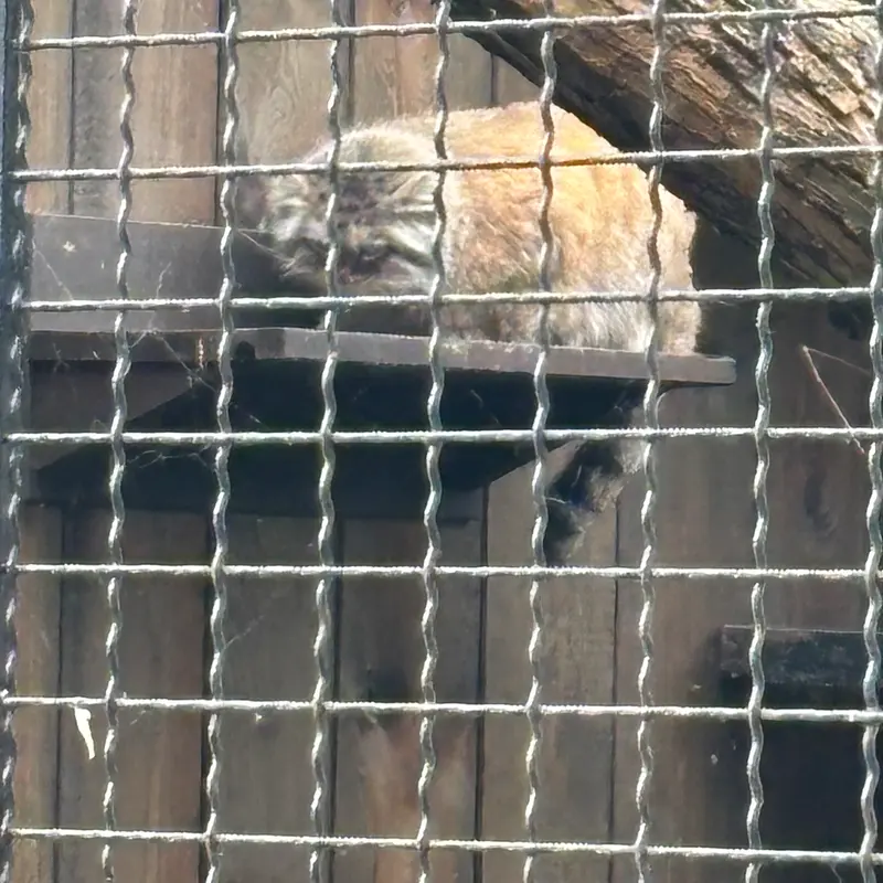 ワルシャワ動物園のジェシーの写真