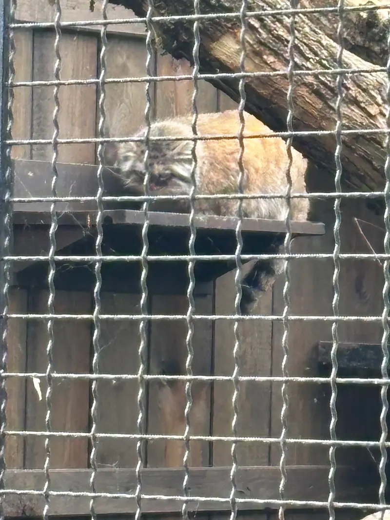 ワルシャワ動物園のジェシーの写真
