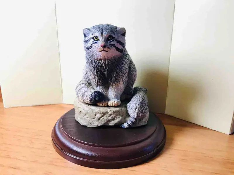 マヌルネコの写真