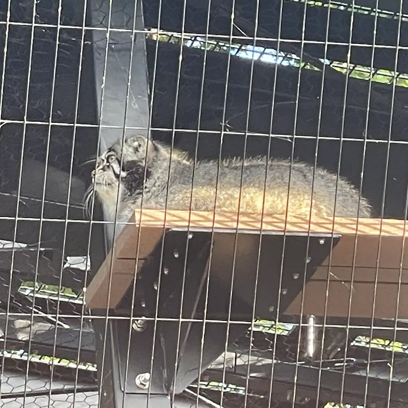 旭山動物園のグルーシャの写真