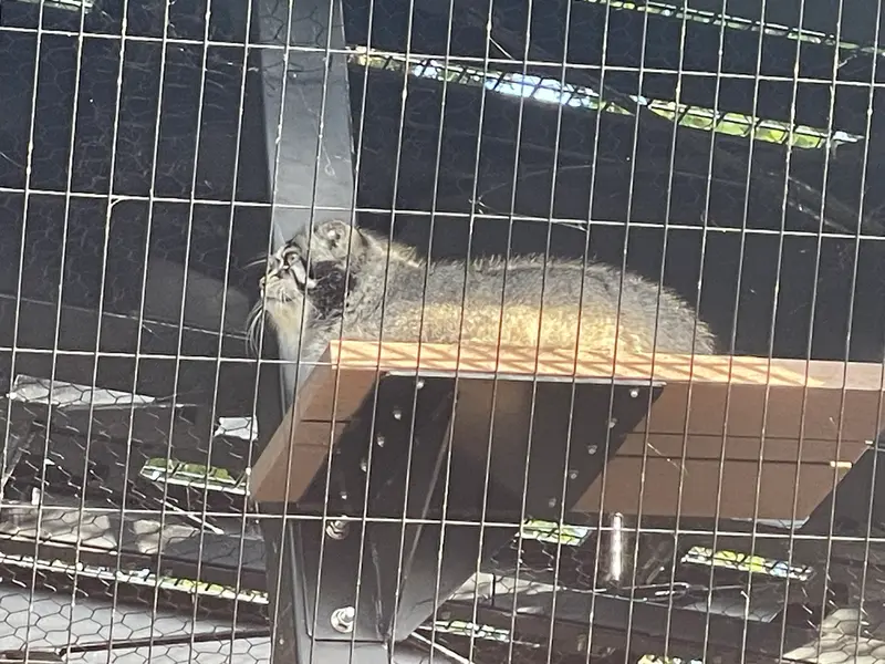旭山動物園のグルーシャの写真