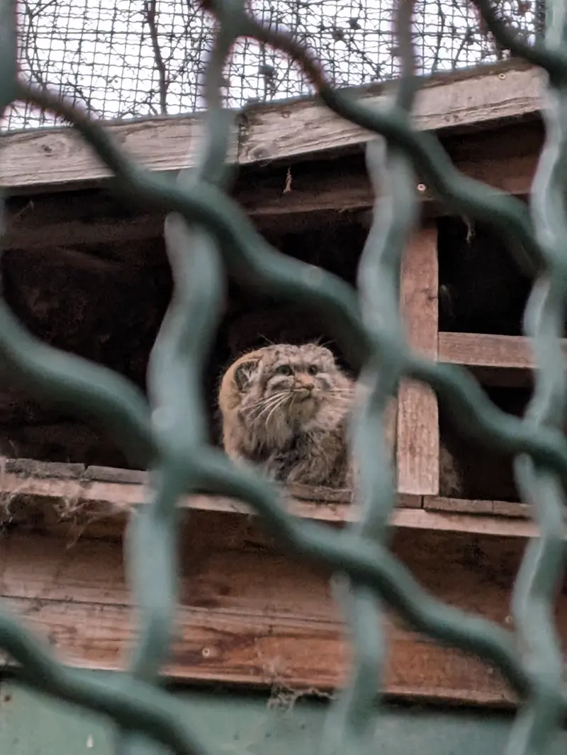 ブダペスト動物園・植物園のルーシーの写真