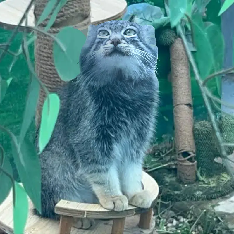 スン・サンランの写真