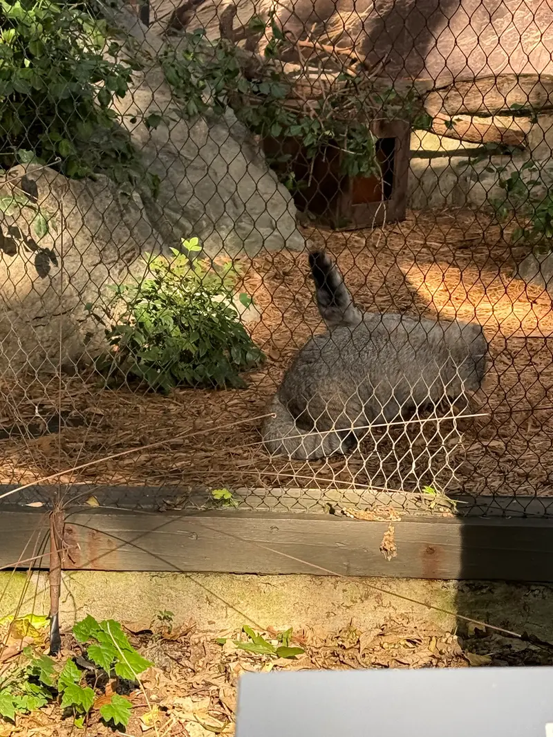 プロスペクト・パーク動物園のサルナイとバトゥの写真