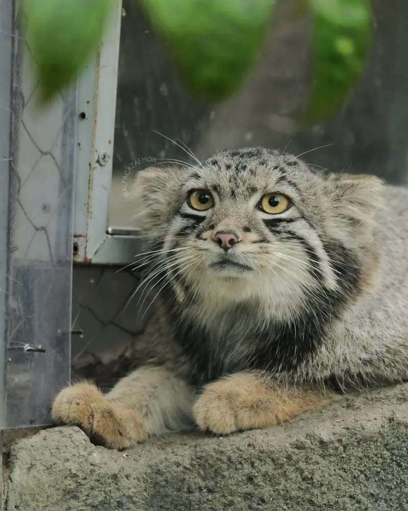 神戸どうぶつ王国のオトの写真