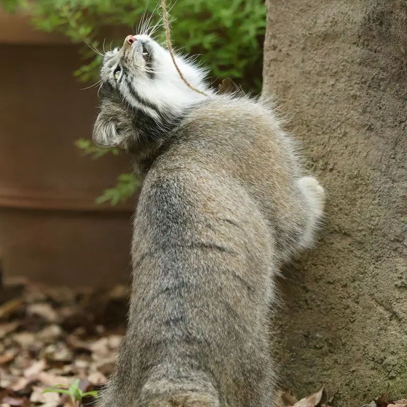 埼玉県こども動物自然公園のオトの写真