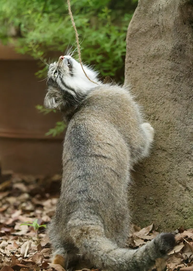 埼玉県こども動物自然公園のオトの写真