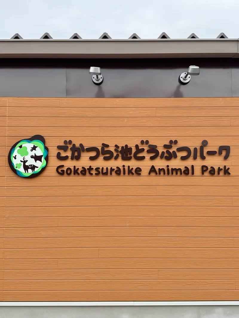 ごかつら池どうぶつパークのマヌルネコの写真