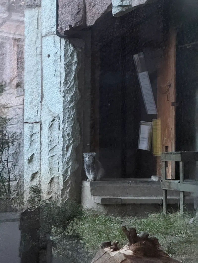 モスクワ動物園のティモフェイの写真