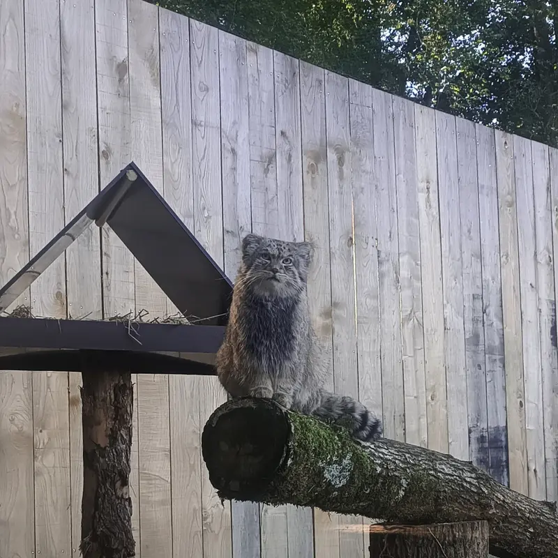 トレゴムール動物園のパプローの写真
