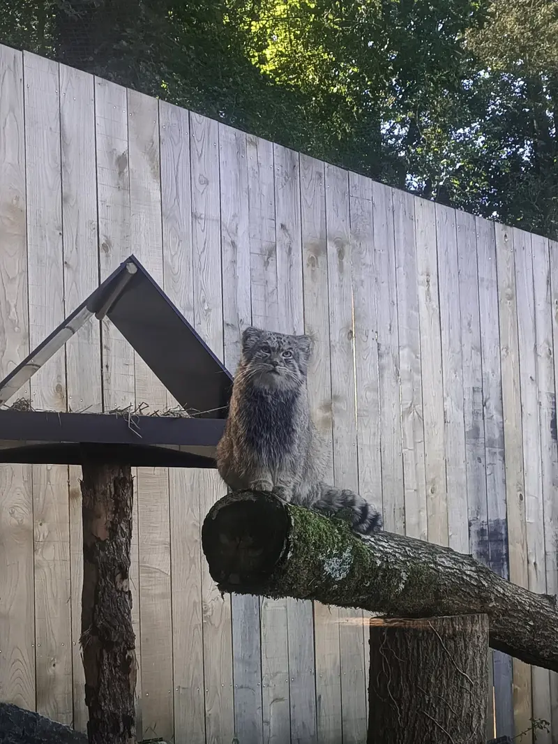 トレゴムール動物園のパプローの写真