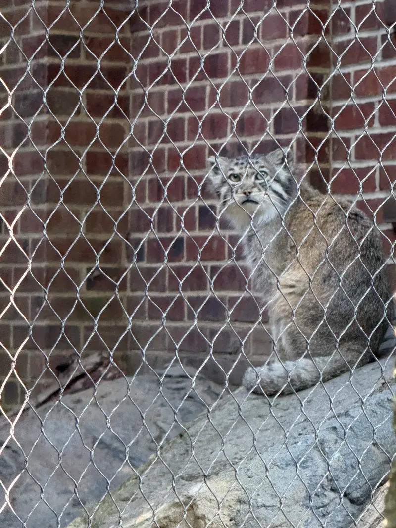 プロスペクト・パーク動物園のバトゥの写真