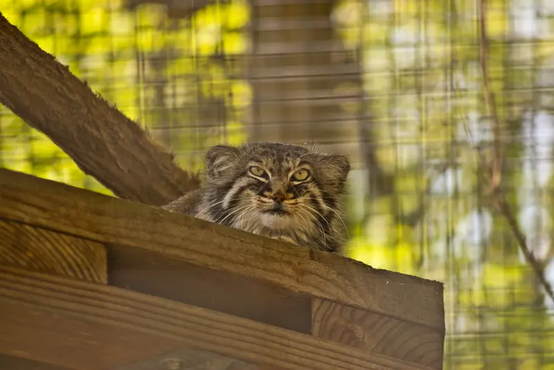 ザールブリュッケン動物園のカール・ハインツの写真