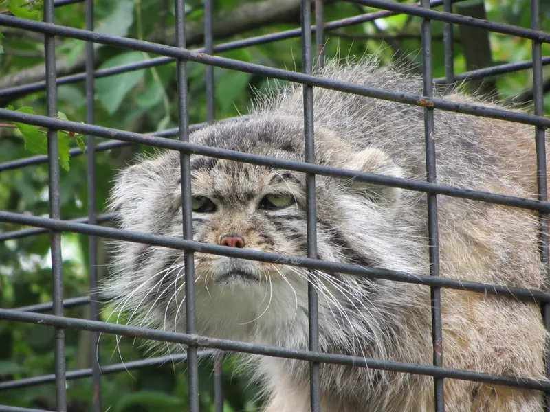 マクデブルク動物園のジョナサンの写真