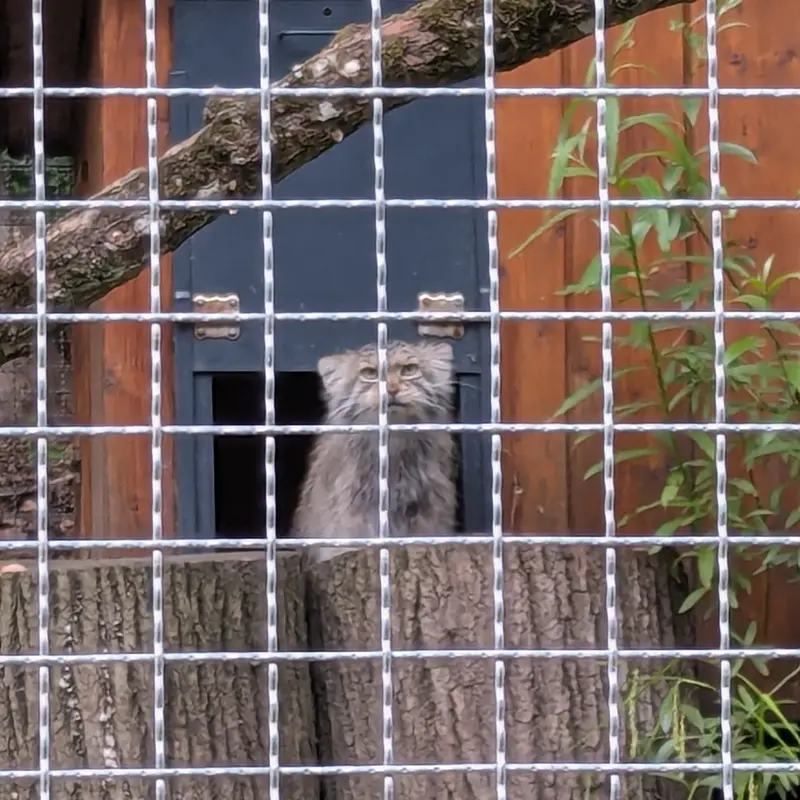 リトアニア動物園のメリッサの写真