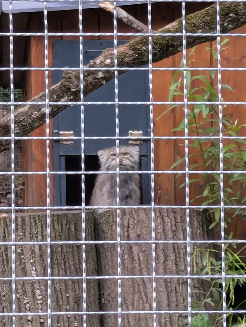 リトアニア動物園のメリッサの写真