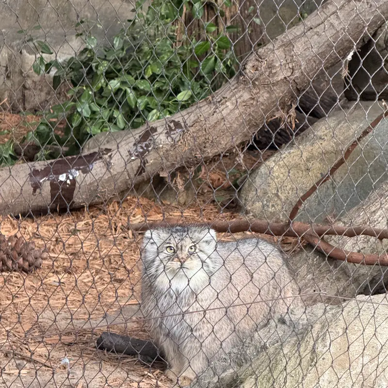 プロスペクト・パーク動物園のサルナイの写真