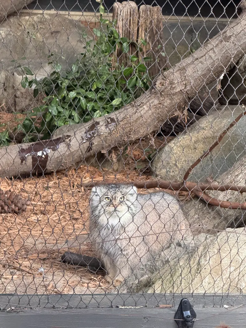 プロスペクト・パーク動物園のサルナイの写真