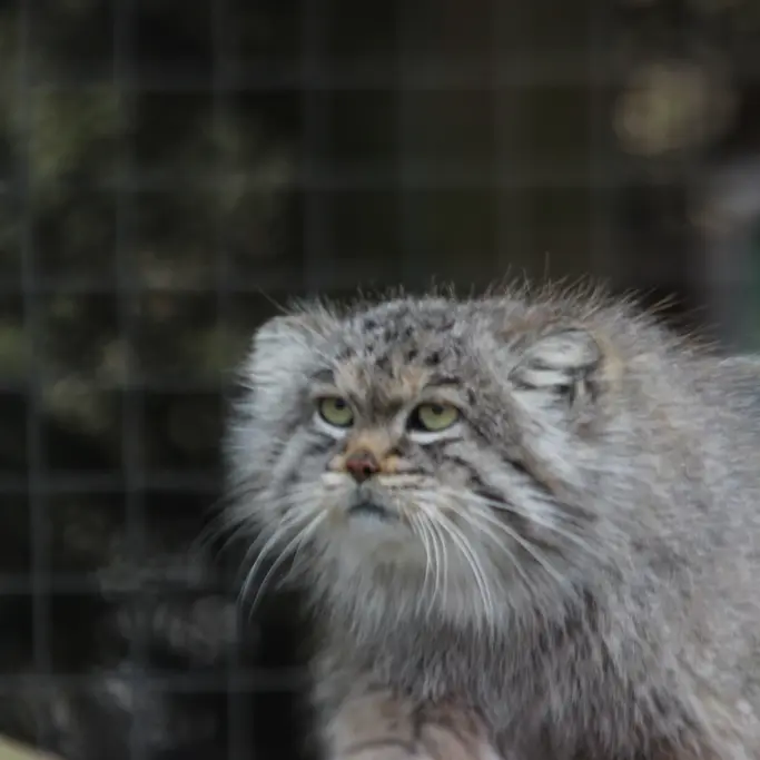 バナム動物園のバックの写真