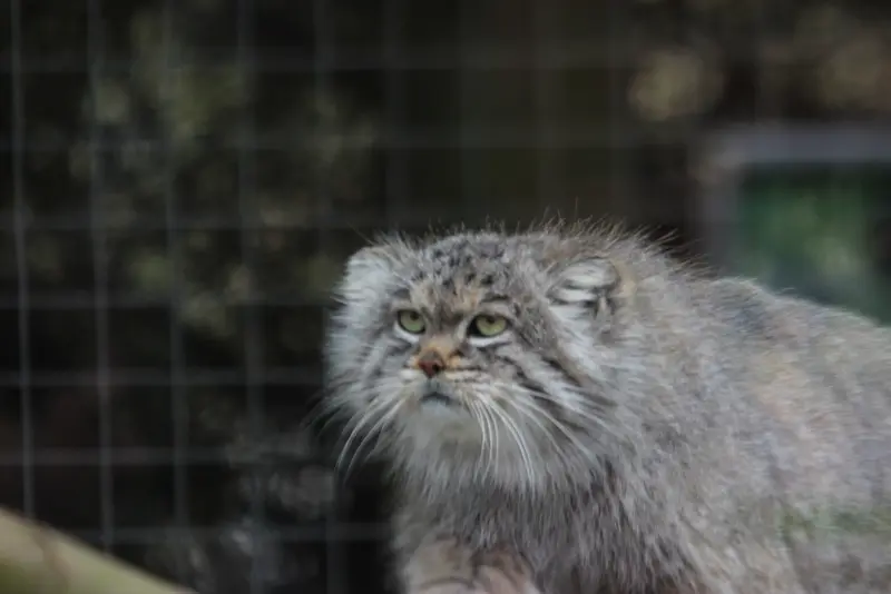 バナム動物園のバックの写真