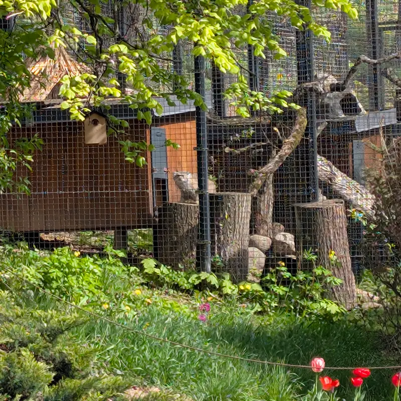 リトアニア動物園のメリッサの写真