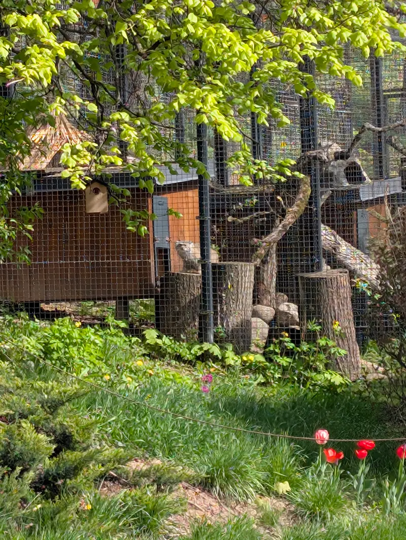リトアニア動物園のメリッサの写真