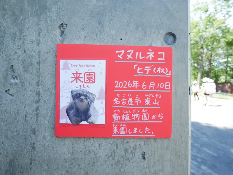 旭山動物園のヒデの写真