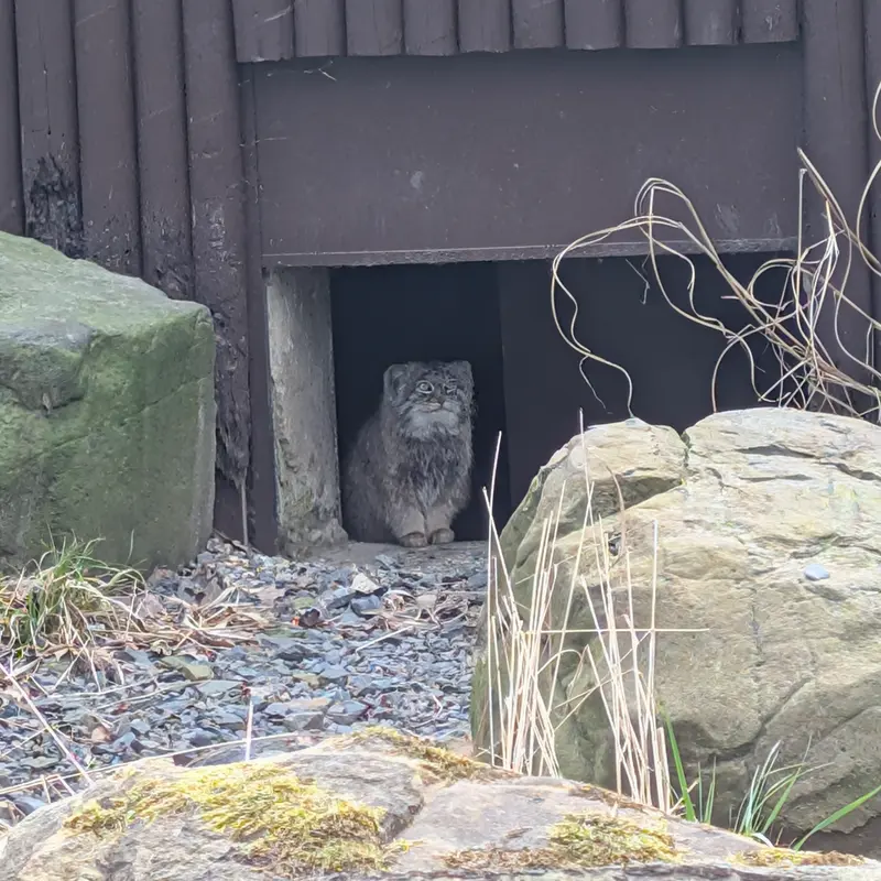 オストラヴァ動物園のプルトンの写真