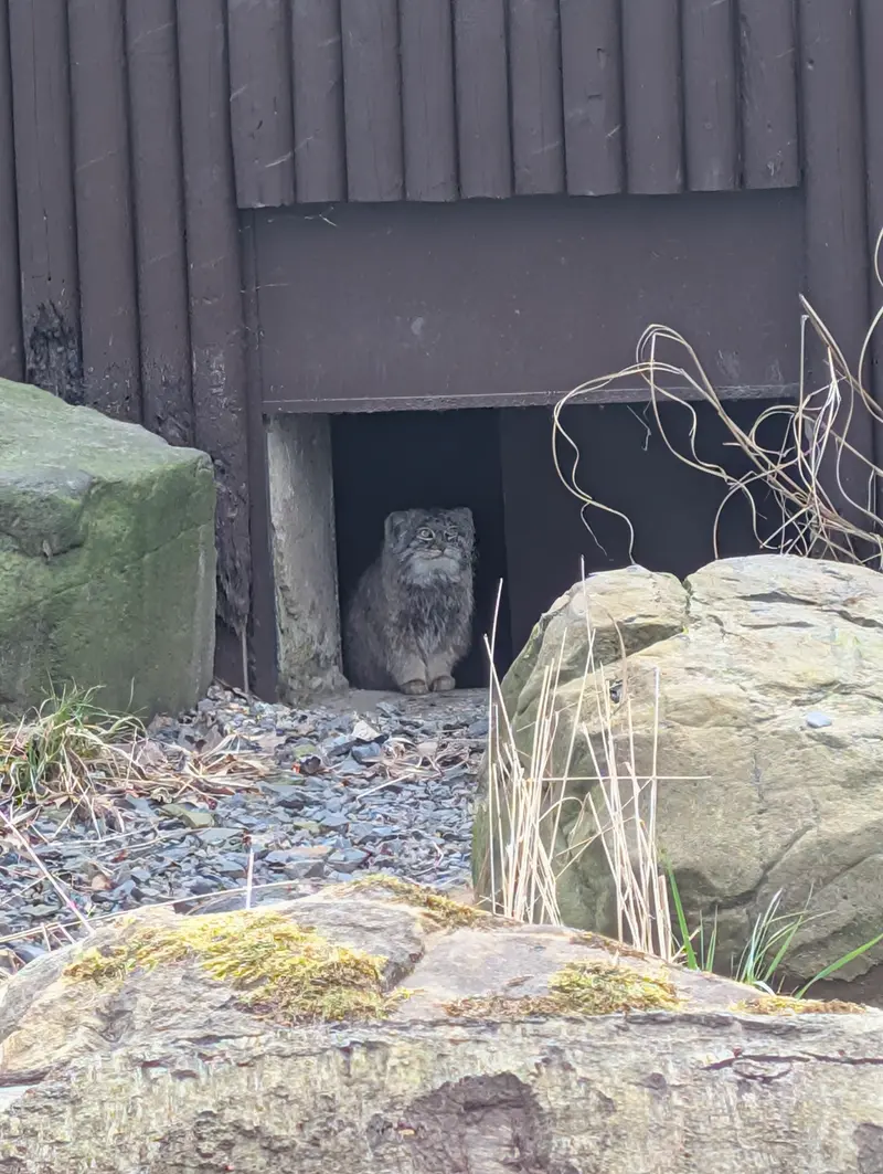 オストラヴァ動物園のプルトンの写真